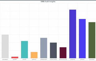 DigitalBull Go - Free Local SEO Audit Tool screenshot 1