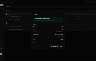 Ellipticc Drive screenshot 3