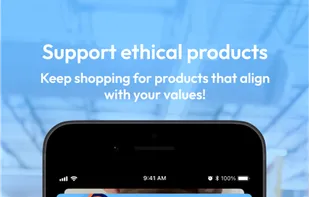 Boycat  screenshot 1