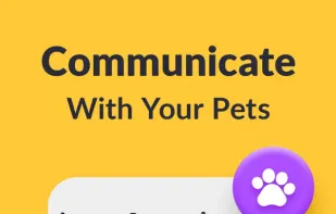 Voice Translator App screenshot 2