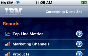IBM Digital Analytics screenshot 1