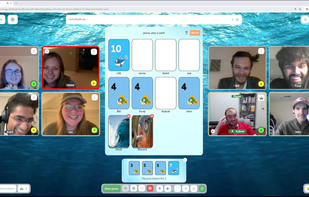 Playing cards on Ludio