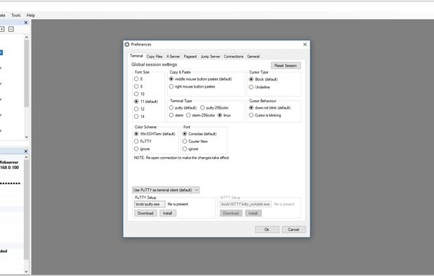 WinSSHTerm: A tabbed SSH solution for Windows, combining PuTTY, WinSCP ...