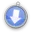 Safari Download Manager icon