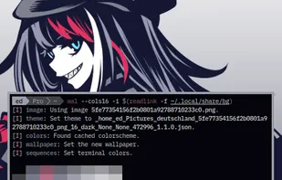 pywal16 screenshot 1