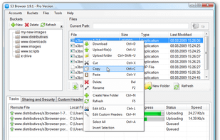 S3 Browser - main window