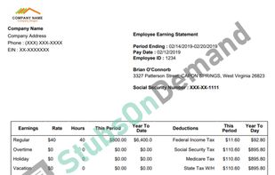 Template 10. This template is available while generating the paystub. This template is free.
