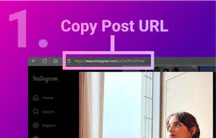 Druful - Instagram Downloader screenshot 1