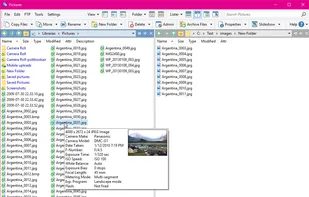 Dual display (vertical layout) without trees (this is the Commander style). Both file displays are in list mode, showing popup tooltip for an image file.