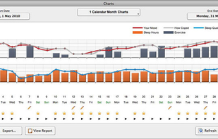 Optimism screenshot 2