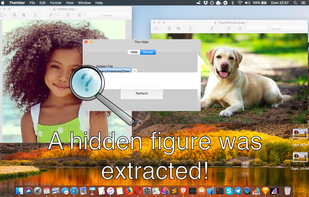 The Hider screenshot 1