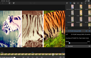 LumaFusion screenshot 3