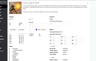 D&D 5e character stats