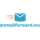 @Emailforward.mx Icon