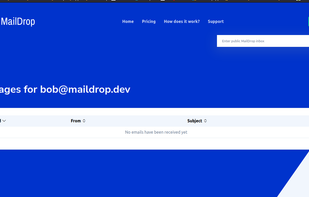 MailDrop.dev screenshot 1