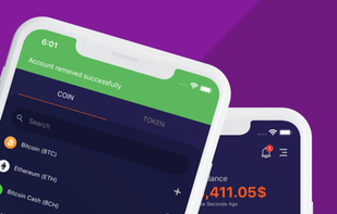 BrickWallet screenshot 1