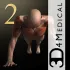 iMuscle 2 icon
