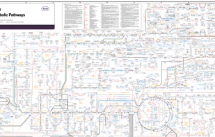 Roche Biochemical Pathways screenshot 1