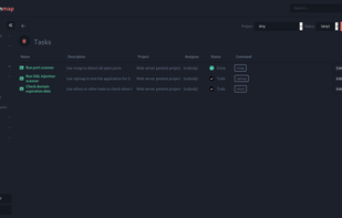 Reconmap screenshot 1