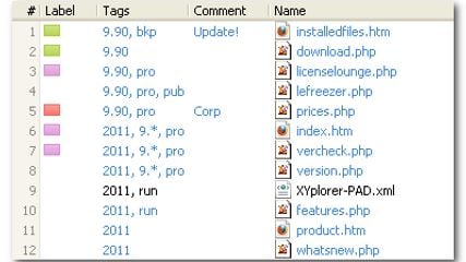 XYplorer supports assigning individual labels, tags, and comments of virtually any size and number to any file and folder (not just to media files).