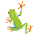 pixFront icon