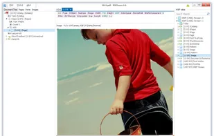 PDFGears screenshot 1