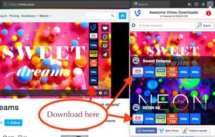Awesome Vimeo Downloader screenshot 1