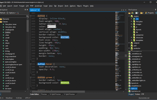 Rapid CSS Editor screenshot 1
