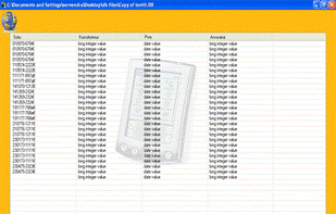 Kernel for Paradox Recovery screenshot 3