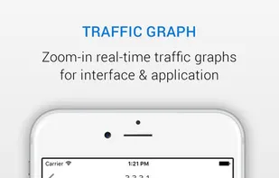 NetFlow Analyzer screenshot 2