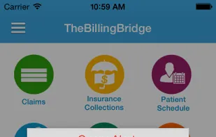 theBillingBridge screenshot 1