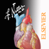 Netter's Anatomy Atlas 7e icon