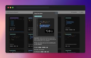 VSCheatsheet screenshot 1