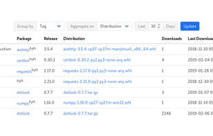 Track package downloads by server or API key