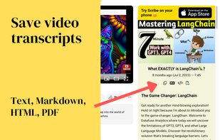 Scribe Video Transcripts screenshot 2