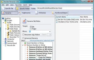 Flexible Renamer screenshot 1