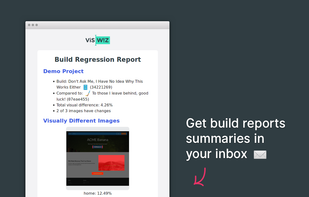 VisWiz.io screenshot 3
