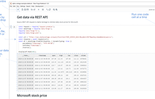 Data-Forge Notebook screenshot 1