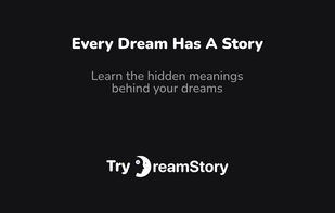 DreamStory screenshot 1