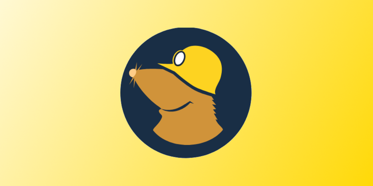 Mullvad VPN extends DAITA support to iOS devices image