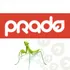 PRADO icon
