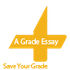 A Grade Essays icon