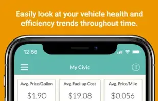 View records and trends