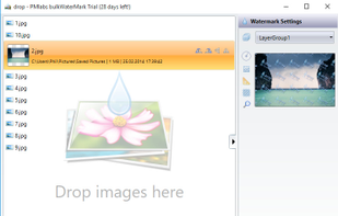 Batch List that contains all images that are getting watermarked