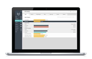 Compare estimated budgets with actual figures to keep projects on target and the scope under control.