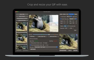 Video GIF Creator screenshot 3