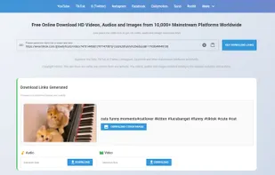 SnapWc.com TikTok download test