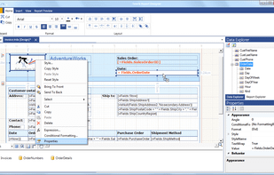 Telerik Reporting Standalone Report Designer