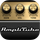 AmpliTube Icon