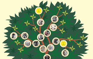 Treemily screenshot 1